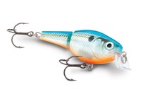 Jointed Shallow Shad Rap