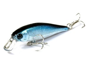 Pointer 48