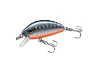 L-minnow F1167