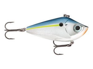 Rockin’ shad