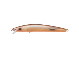 TD minnow
