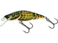 Bullhead