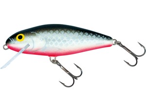 Perch