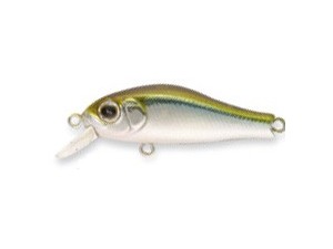 Rigge 35SS