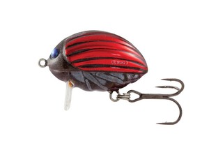 Lil’Bug