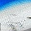 цвет 0329