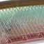 цвет GEA3006