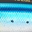 цвет Sardine