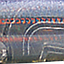 цвет 06
