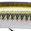 цвет R02