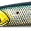 цвет R08